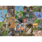 Watchful Wonders "Mixed Up" 1000 Piece Jigsaw Puzzle PuzzleTwist