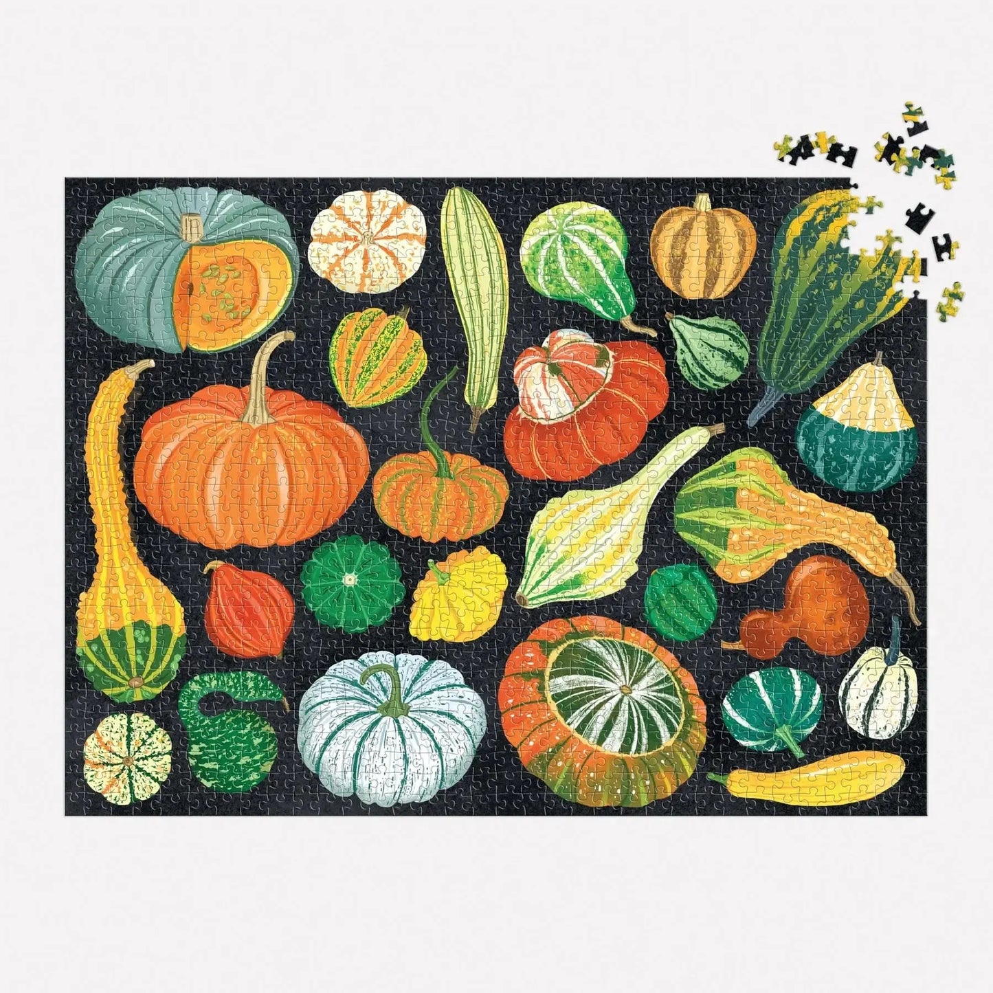 World of Pumpkins 1000 Piece Jigsaw Puzzle Galison