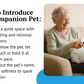 Assistex Therapy Cat Plush for Seniors with Dementia – Realistic Stuffed Animal Companion for Alzheimer’s, Memory Loss, Elderly Comfort – Soft, Calming, Lifelike Cat Toy