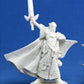 Reaper Miniatures 77044 Bones - Turanil- Male Elf Paladin