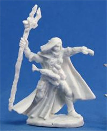 Reaper Elquin, High Elf Adventurer (1) Miniature