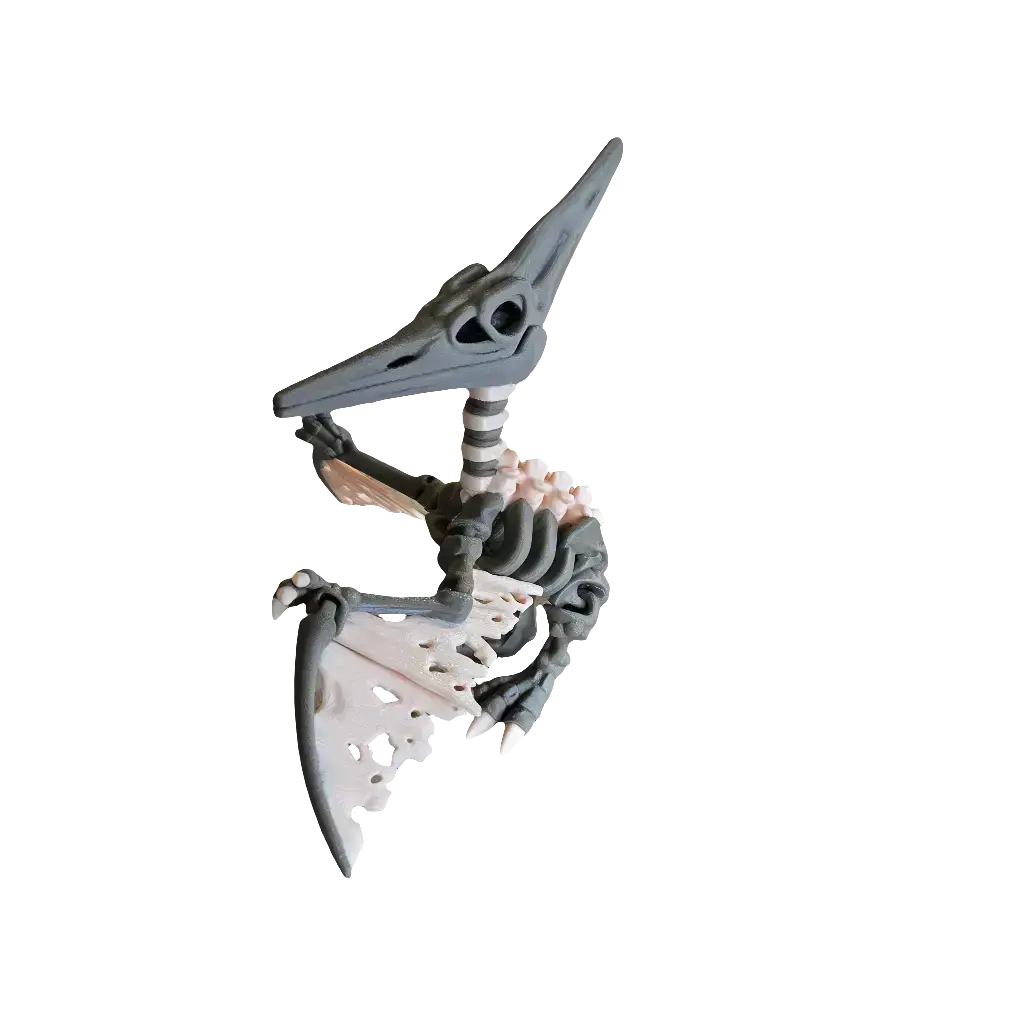 Articulated Skeleton Pterodactyl (Teen)