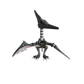 Articulated Skeleton Pterodactyl (Teen)