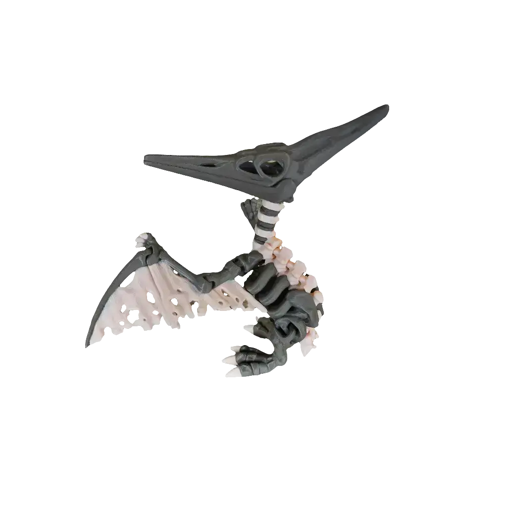 Articulated Skeleton Pterodactyl (XL Adult)
