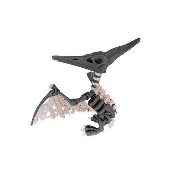 Articulated Skeleton Pterodactyl (Teen)