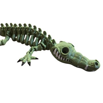 3-Color Skeleton Crocodile (Articulated) (Adult)