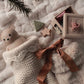 Teddy Bear Money Bank
