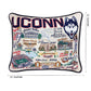 Connecticut, University of Collegiate Embroidered Pillow by CatStudio