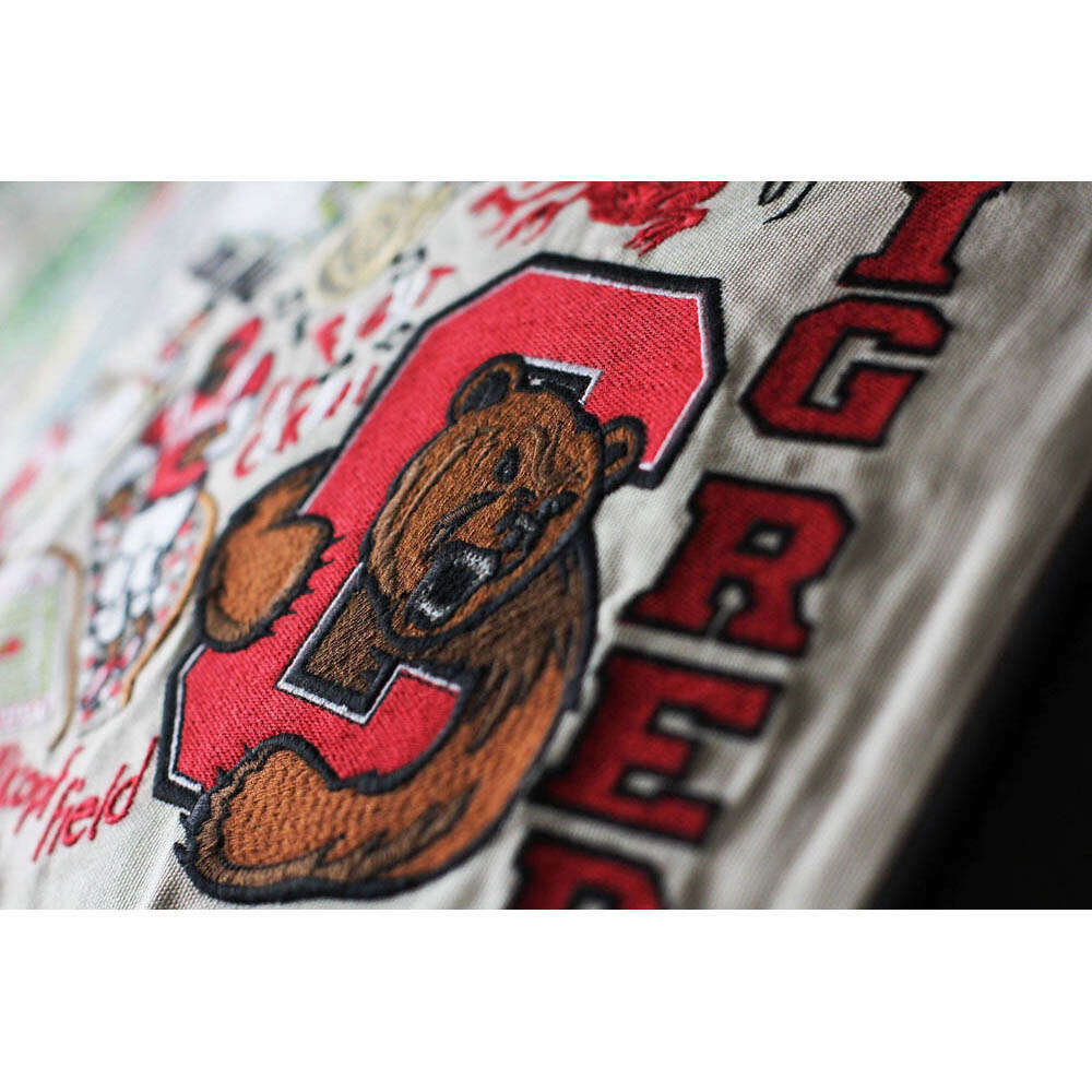 Cornell University Collegiate Embroidered Pillow by CatStudio