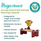 Dragon Trainer: Curious Kingdom Buildable Playset