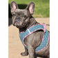 Step-In Denim Dog Harness - Pink Plaid(D0102H53XWP)