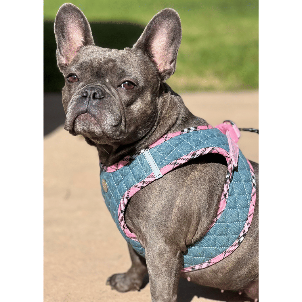 Step-In Denim Dog Harness - Pink Plaid(D0102H53XWP)