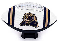 Pittsburgh Panthers Football Full Size Jersey(D0102H77GEA.)