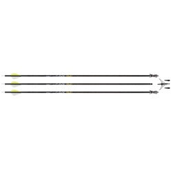 Rage Simply Lethal Arrow Package-2 Blade SC Broadhead(D0102H7RBSV.)