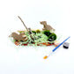 Dinosaur Quest, Playdough Kit with Paintable Dinosaurs
