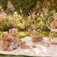 Blossom Dreams Girls Bedroom Rattan Decorative Flower Chair