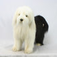 Hansa 4654 Sheep Dog Standing 24 In L