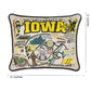 Iowa, University of Collegiate Embroidered Pillow by CatStudio