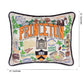 Princeton University Collegiate Embroidered Pillow by CatStudio