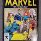 Marvel Year In Review 1991