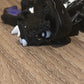 Baby Vampire Dragon