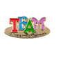 Success Through Teamwork Lapel Pins (10/set)