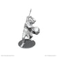 D&D NOLZUR'S MARVELOUS MINIATURES: B'ROHG