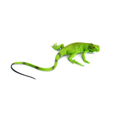 Safari Ltd. Incredible Creatures Iguana Baby - Realistic Hand Painted Toy Figurine Model - Quality Construction from Phthalate, Lead and BPA Free Materials - For Ages 3 and Up