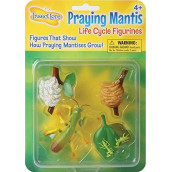 Praying Mantis 4 Piece Life Cycle Figures - 2" Bug Toys by Insect Lore