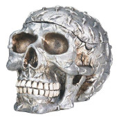 Diamond Plate Skull Container - Collectible Skeleton Figurine Model