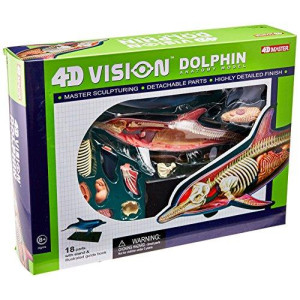Famemaster 4D-Vision Dolphin Anatomy Model