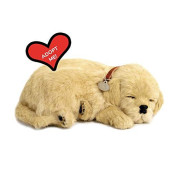 Original Petzzz Golden Retriever, Realistic, Lifelike Stuffed Interactive Pet Toy, Companion Pet Dog with 100% Handcrafted Synthetic Fur 