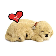 Original Petzzz Golden Retriever, Realistic, Lifelike Stuffed Interactive Pet Toy, Companion Pet Dog with 100% Handcrafted Synthetic Fur 