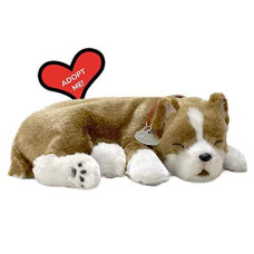 Perfect Petzzz Original Petzzz Pit Bull Realistic, Lifelike Stuffed Interactive Pet Toy, Companion Pet Dog with 100% Handcrafted Synthetic Fur