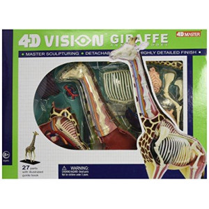 Famemaster 4D Vision Giraffe Anatomy Model