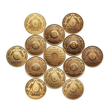 Complete Set of 12 Months - 1,2,3,4,5,6,7,8,9,10,11, and 18 Month Bronze AA Medallions Serenity Prayer Chips