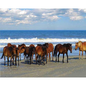 Heritage Beach Party Jigsaw Puzzle - 1000 Pieces - Horses by the Ocean