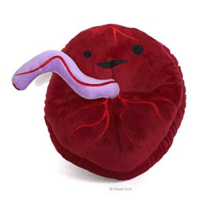 I Heart Guts Placenta Plush - Babys First Roommate - 10" Odd Baby Gift Stuffed Toy