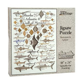 Heritage Puzzle Sharks, Skates & Rays of the Atlantic & Gulf of Mexico - 550 Piece Jigsaw Puzzle