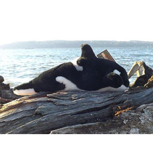 10" Plush Toy Orca Whale - Stuffed Animal Killer Whale