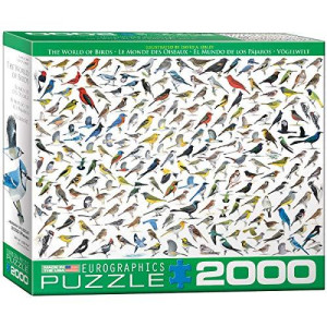 EuroGraphics The World of Birds (2000 Piece) Puzzle (8220-0821)