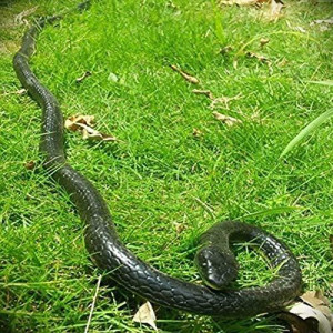 Yoogeer 47 Inches Rubber Lifelike Snakes Scary Gag Gift Incredible Creatures Chain Snakes Rain Forest Snake Toys Wild Life Snakes