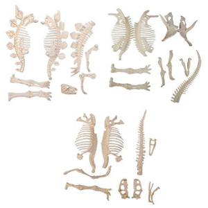 NUOLUX 3Pcs 4D Dinosaur Fossil Skeleton Toys DIY For Kids Fossil Skeleton Figure