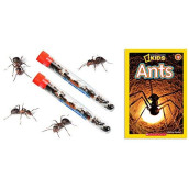 2 Tubes Live Ant Farm Ants Plus Ant Book -Bundle