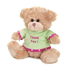 Fennco Styles Gratitude Plush Bear
