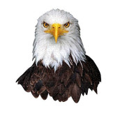 Madd Capp Puzzles - I AM Eagle - 550 Pieces - Animal Shaped Jigsaw Puzzle, 27" x 30"