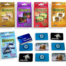 Stages Learning Set of Animal Picture Memory Card Real Photo Concentration Games, Multicolor, Size 10 x 5