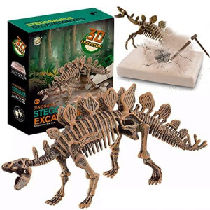 Dig & Discover Dino Stegosaurus Dinosaur Skeleton 3D Fossil Bones Excavation Science Kit