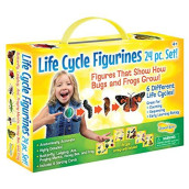 Insect Lore Life Cycle Figurines 24 Pc Set, Brown/a