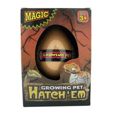 Magic Growing Pet Mystery Dinosaur Surprise Egg Hatching Miniature Dinosaur Toy